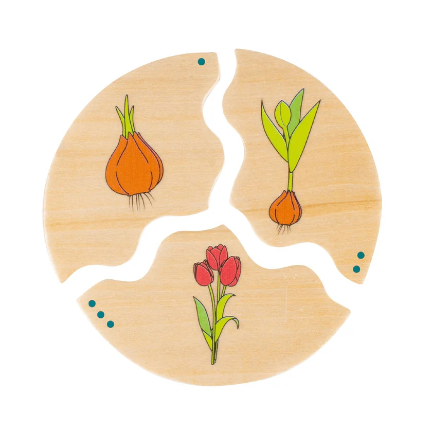 NAWITO PUZZLE-EVOLUCIJA