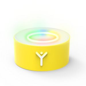 VOICE TOYS VibeY